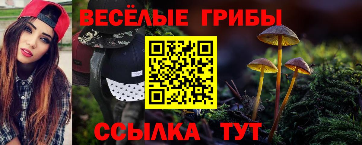 Псилоцибиновые грибы ЛСД  Вход с VPN  Новокуйбышевск  Галлюциногенные грибы ЛСД 